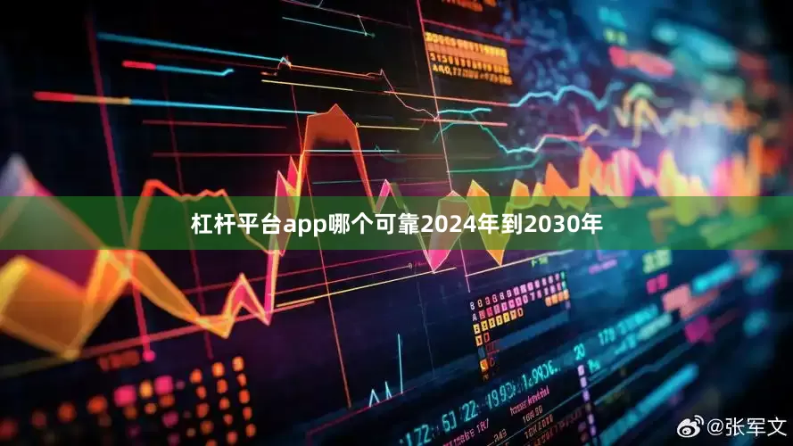 杠杆平台app哪个可靠2024年到2030年