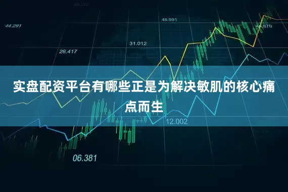 实盘配资平台有哪些正是为解决敏肌的核心痛点而生