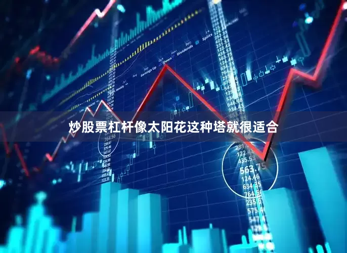 炒股票杠杆像太阳花这种塔就很适合