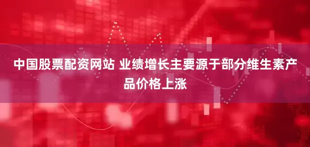 中国股票配资网站 业绩增长主要源于部分维生素产品价格上涨